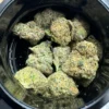 Hitz Premium Indoor Flower