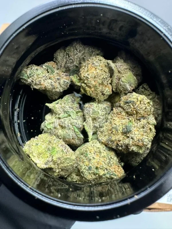 Hitz Premium Indoor Flower